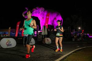 BIB: 
                            <button type="button" onclick="openModal(26534061)" class="btn btn-primary btn-sm float-right btn-popup" data-toggle="modal" data-target=".modal-high-quality">
                        <i class="fas fa-shopping-cart"></i> Add to Cart
                    </button>
                                            <button type="button" onclick="isThisMe(26534061, true)" class="btn btn-success btn-sm float-right btn-popup btn-isme hidden" data-toggle="tooltip" data-placement="bottom" title="นี่คือรูปของคุณใช่ไหม คลิกที่นี่เพื่อเอาเข้าอัลบั้ม">
                        <i class="fas fa-plus"></i> Add to album
                    </button>
                    <button type="button" onclick="isThisMe(26534061, false)" class="btn btn-warning btn-sm float-right btn-popup btn-isnotme hidden">
                        <i class="fas fa-ban"></i> Remove from album
                    </button>